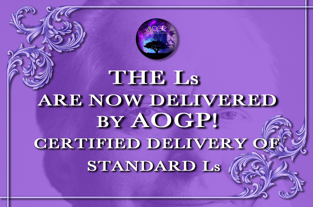 The L Rundowns - Now Delivered Standardly and Certified!
